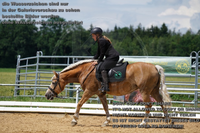 s_K3F04496.JPG